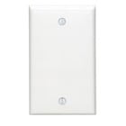 1-Gang No Device Blank Wallplate, Standard Size, Thermoplastic Nylon, Box Mount, White
